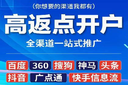 谷歌SEM案例研究：数据分析与效果评估